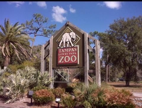 Bush Garden Park Nearby Apartments Tampa Extérieur photo